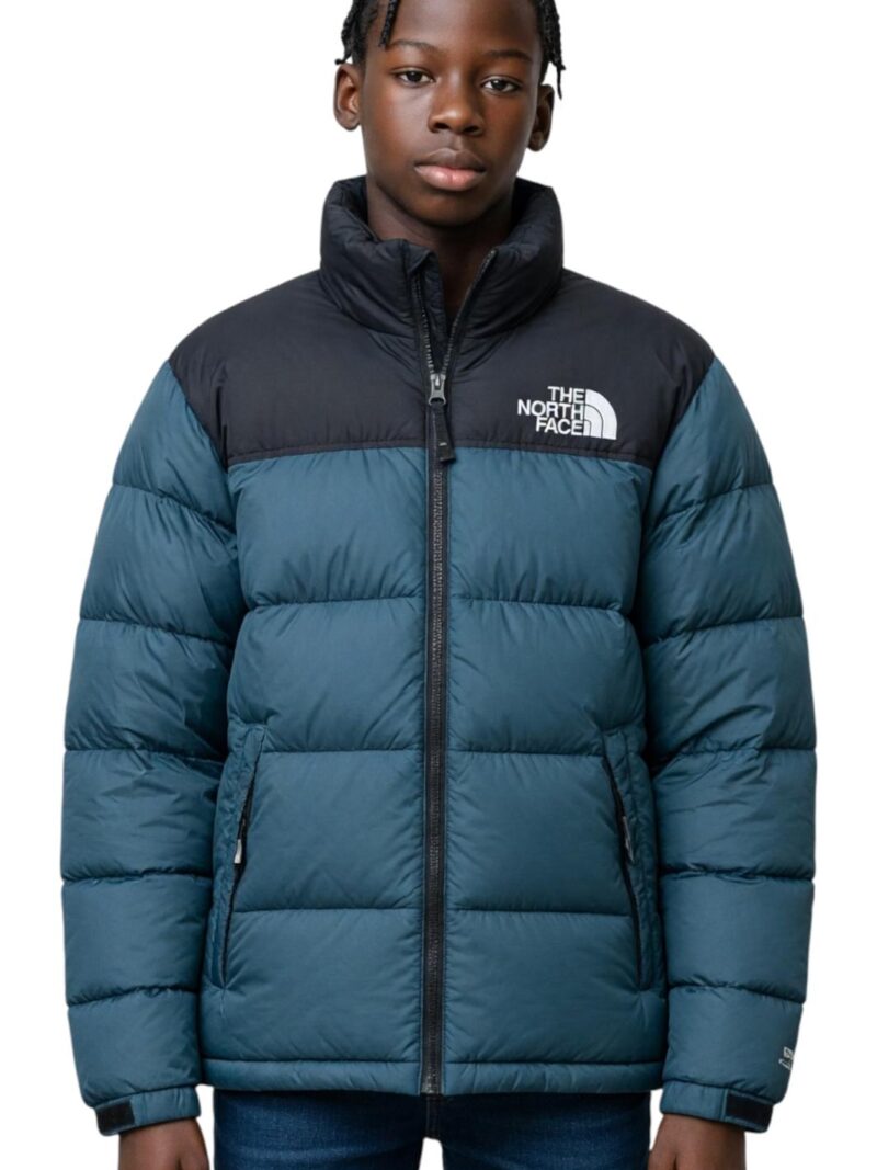 Piumino Giacca The north Face 700
